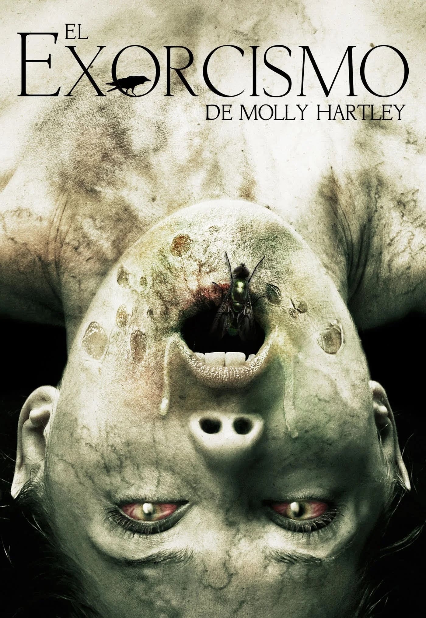 The Exorcism of Molly Hartley poster